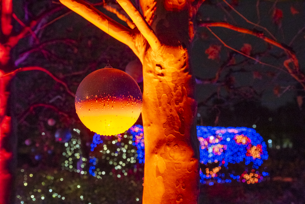 Frost – Cleveland Botanical Garden